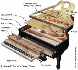 形樂鋼琴調音維修 Kata Music Piano Tuning In Hong Kong &Bull; Piano Parts