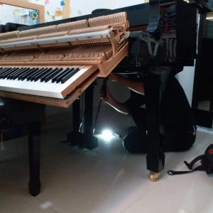 形樂鋼琴調音維修 Kata Music Piano Tuning In Hong Kong &Bull; Sustain Fix