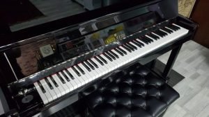 形樂鋼琴調音維修 Kata Music Piano Tuning In Hong Kong &Bull; Brodmann Bu1