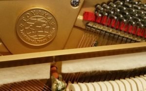 形樂鋼琴調音維修 Kata Music Piano Tuning In Hong Kong &Bull; Toyama Logo3