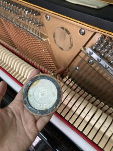 形樂鋼琴調音維修 Kata Music Piano Tuning In Hong Kong &Bull; Toyama Plastic2