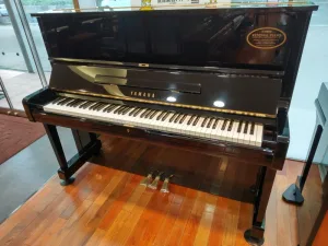 形樂鋼琴調音維修 Kata Music Piano Tuning In Hong Kong &Bull; U1 3957770 1