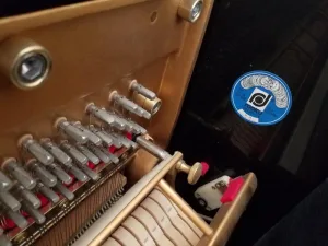 形樂鋼琴調音維修 Kata Music Piano Tuning In Hong Kong &Bull; Asahi 00556 1