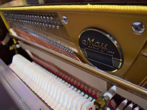 形樂鋼琴調音維修 Kata Music Piano Tuning In Hong Kong &Bull; May Berlin