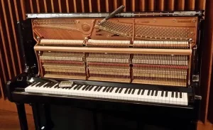形樂鋼琴調音維修 Kata Music Piano Tuning In Hong Kong &Bull; Shadd Upright 1