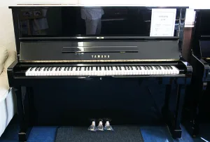 形樂鋼琴調音維修 Kata Music Piano Tuning In Hong Kong &Bull; 2010149 U1H