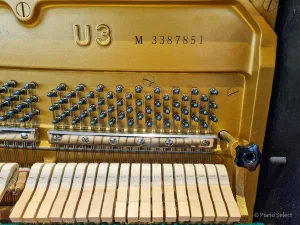 形樂鋼琴調音維修 Kata Music Piano Tuning In Hong Kong &Bull; Yamaha U3M 3387851 4 S