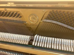 形樂鋼琴調音維修 Kata Music Piano Tuning In Hong Kong &Bull; U1 118177 Serial
