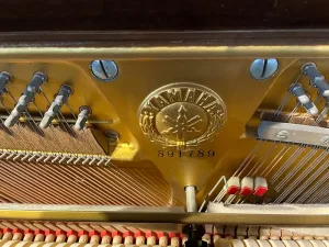 形樂鋼琴調音維修 Kata Music Piano Tuning In Hong Kong &Bull; U5 891789 Serial