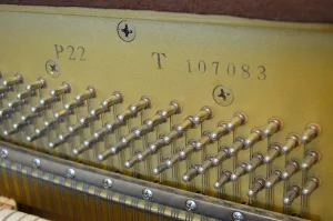 形樂鋼琴調音維修 Kata Music Piano Tuning In Hong Kong &Bull; 107083 2