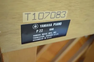 形樂鋼琴調音維修 Kata Music Piano Tuning In Hong Kong &Bull; 107083 3