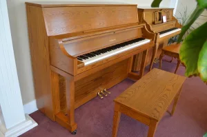 形樂鋼琴調音維修 Kata Music Piano Tuning In Hong Kong &Bull; 146929 1
