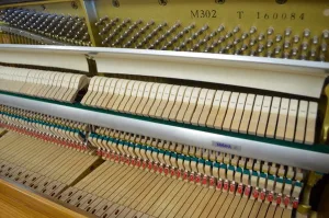 形樂鋼琴調音維修 Kata Music Piano Tuning In Hong Kong &Bull; 160084 2