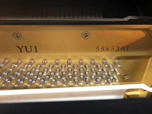 形樂鋼琴調音維修 Kata Music Piano Tuning In Hong Kong &Bull; 5585301 2
