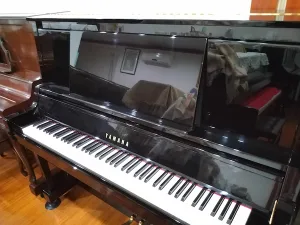 形樂鋼琴調音維修 Kata Music Piano Tuning In Hong Kong &Bull; T157453 1