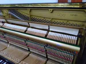 形樂鋼琴調音維修 Kata Music Piano Tuning In Hong Kong &Bull; T157453 2