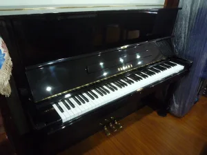 形樂鋼琴調音維修 Kata Music Piano Tuning In Hong Kong &Bull; T21475 1