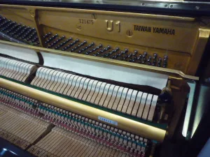 形樂鋼琴調音維修 Kata Music Piano Tuning In Hong Kong &Bull; T21475 2