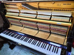 形樂鋼琴調音維修 Kata Music Piano Tuning In Hong Kong &Bull; T48161 1