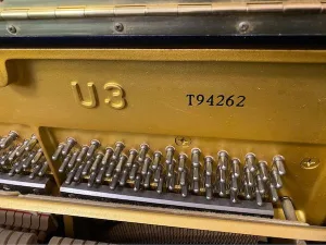 形樂鋼琴調音維修 Kata Music Piano Tuning In Hong Kong &Bull; T94262 1