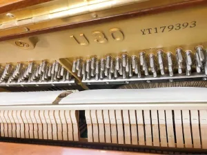 形樂鋼琴調音維修 Kata Music Piano Tuning In Hong Kong &Bull; Yt179393 1