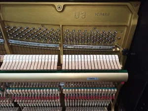 形樂鋼琴調音維修 Kata Music Piano Tuning In Hong Kong &Bull; Yt194453 1