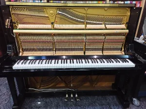 形樂鋼琴調音維修 Kata Music Piano Tuning In Hong Kong &Bull; Yt194453 2