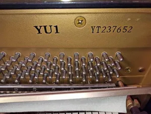 形樂鋼琴調音維修 Kata Music Piano Tuning In Hong Kong &Bull; Yt237652 2