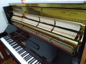 形樂鋼琴調音維修 Kata Music Piano Tuning In Hong Kong &Bull; Yt272532 2