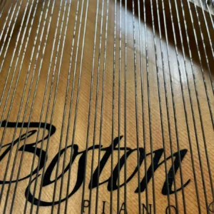 形樂鋼琴調音維修 Kata Music Piano Tuning In Hong Kong &Bull; Boston Rust