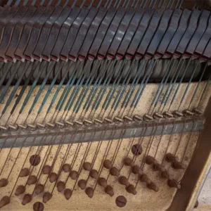 形樂鋼琴調音維修 Kata Music Piano Tuning In Hong Kong &Bull; Copper Rust