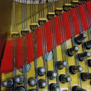 形樂鋼琴調音維修 Kata Music Piano Tuning In Hong Kong &Bull; Felt Rust