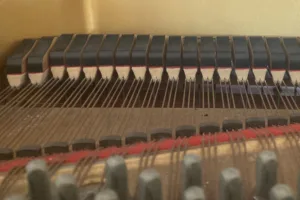 形樂鋼琴調音維修 Kata Music Piano Tuning In Hong Kong &Bull; Uniform Rust1