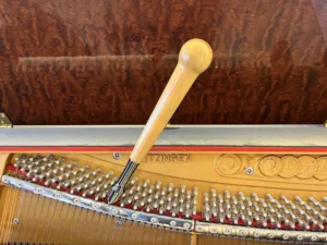 形樂鋼琴調音維修 Kata Music Piano Tuning In Hong Kong &Bull; Ball 1