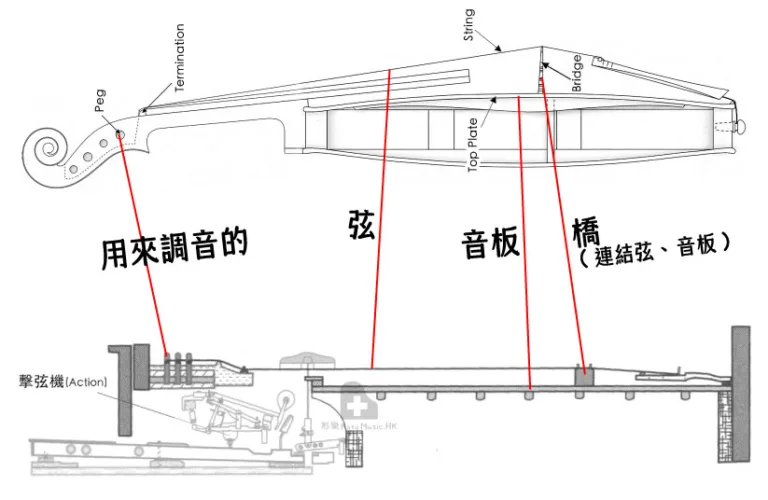 形樂鋼琴調音維修 Kata Music Piano Tuning In Hong Kong &Bull; Violin Grand Compare